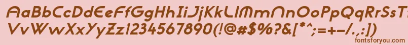 NeogothisadfstdExtrabdoblique Font – Brown Fonts on Pink Background