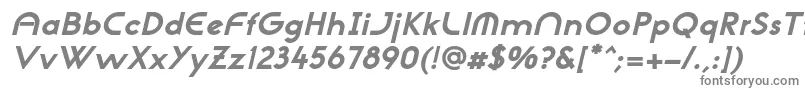 フォントNeogothisadfstdExtrabdoblique – 白い背景に灰色の文字