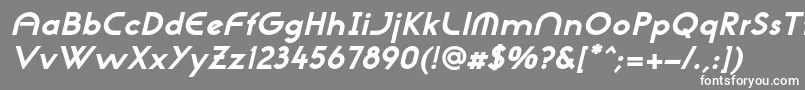 NeogothisadfstdExtrabdoblique-fontti – valkoiset fontit harmaalla taustalla
