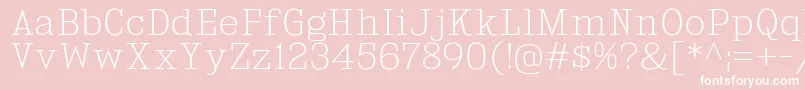 KingsbridgeEl Font – White Fonts on Pink Background