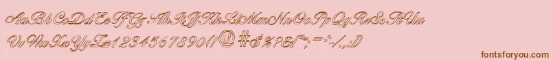BallantinesoutlineRegular Font – Brown Fonts on Pink Background