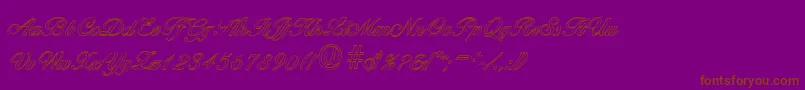 BallantinesoutlineRegular Font – Brown Fonts on Purple Background