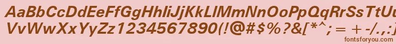 Unvr66x Font – Brown Fonts on Pink Background