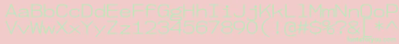 Nk57MonospaceSeLt Font – Green Fonts on Pink Background