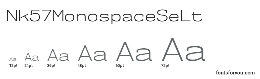 Размеры шрифта Nk57MonospaceSeLt