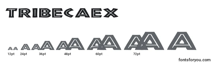 TribecaEx Font Sizes
