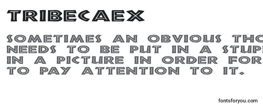 TribecaEx Font