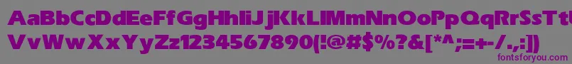ErasUltrablkHeavy-Schriftart – Violette Schriften auf grauem Hintergrund