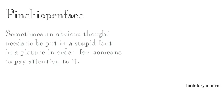 Review of the Pinchiopenface Font