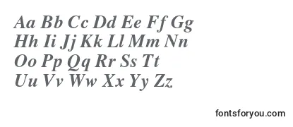 Review of the LatinskijcBolditalic Font