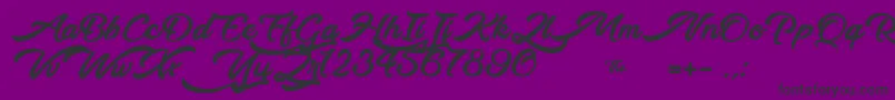 WalkingInTheStreet Font – Black Fonts on Purple Background