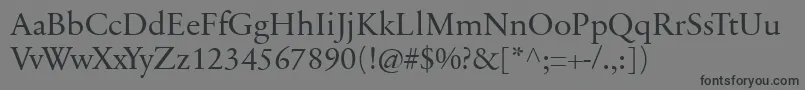 SabonnextLtDisplay Font – Black Fonts on Gray Background