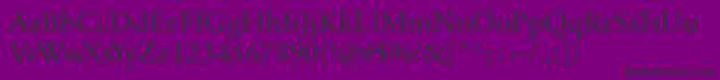 SabonnextLtDisplay Font – Black Fonts on Purple Background