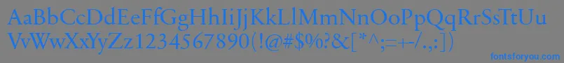 SabonnextLtDisplay Font – Blue Fonts on Gray Background