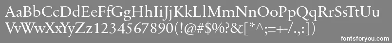 SabonnextLtDisplay Font – White Fonts on Gray Background
