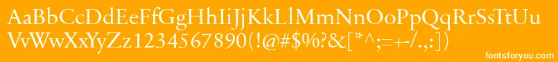 SabonnextLtDisplay Font – White Fonts on Orange Background