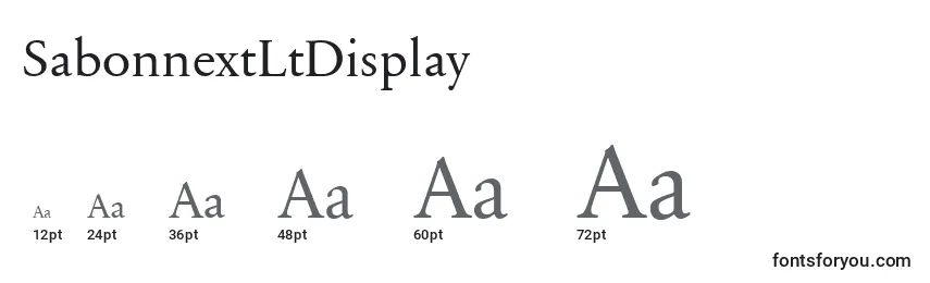 SabonnextLtDisplay Font Sizes