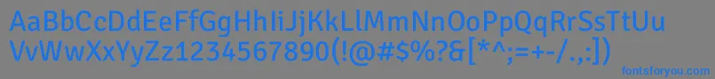 SignikanegativeRegular Font – Blue Fonts on Gray Background