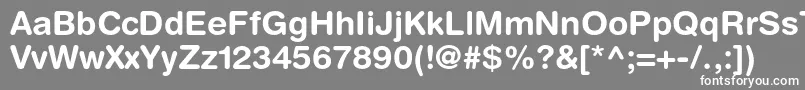 フォントHelveticaroundedltstdBd – 灰色の背景に白い文字