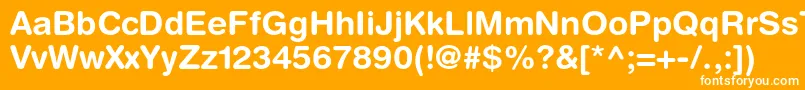 HelveticaroundedltstdBd Font – White Fonts on Orange Background