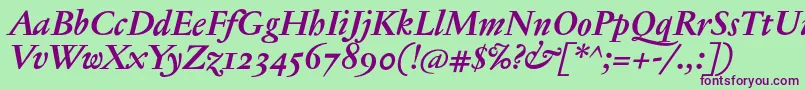 JannontextmedosfBolditalic Font – Purple Fonts on Green Background