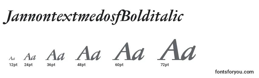 JannontextmedosfBolditalic Font Sizes
