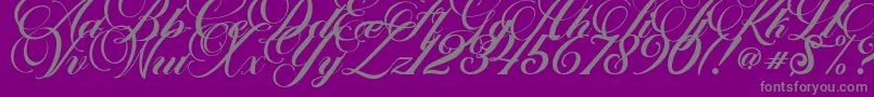 Marchell Font – Gray Fonts on Purple Background