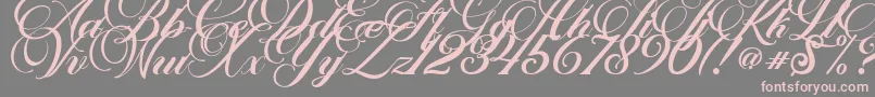 Marchell Font – Pink Fonts on Gray Background