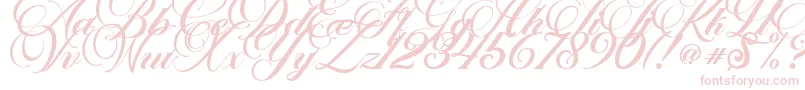 Marchell Font – Pink Fonts on White Background