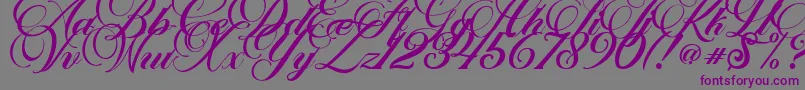 Marchell Font – Purple Fonts on Gray Background