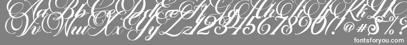 Marchell-Schriftart – Weiße Schriften auf grauem Hintergrund