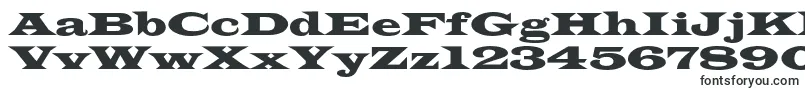 Шрифт Azlatinwidec – шрифты без засечек