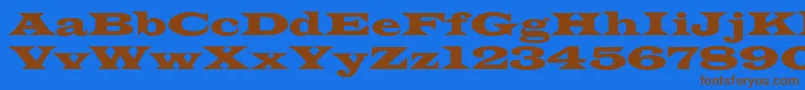 Шрифт Azlatinwidec – коричневые шрифты на синем фоне