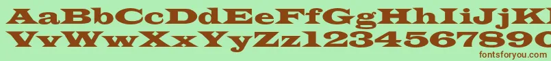 Azlatinwidec Font – Brown Fonts on Green Background