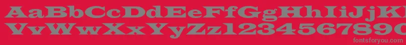 フォントAzlatinwidec – 赤い背景に灰色の文字