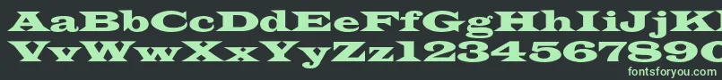 Azlatinwidec-fontti – vihreät fontit mustalla taustalla