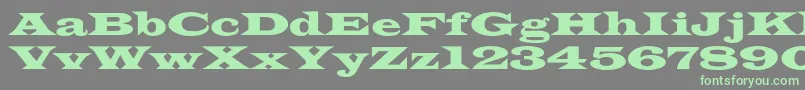 Azlatinwidec Font – Green Fonts on Gray Background