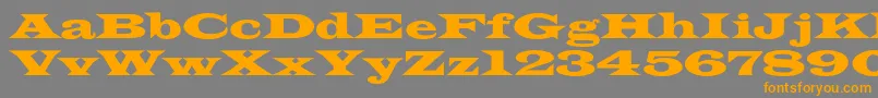 Azlatinwidec Font – Orange Fonts on Gray Background