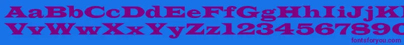 Azlatinwidec Font – Purple Fonts on Blue Background