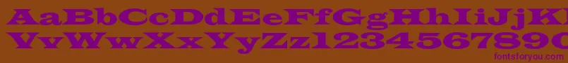 Czcionka Azlatinwidec – fioletowe czcionki na brązowym tle