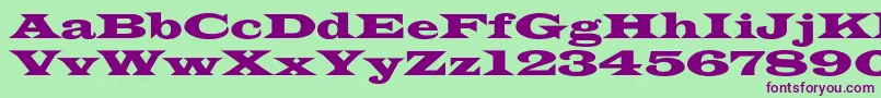 フォントAzlatinwidec – 緑の背景に紫のフォント