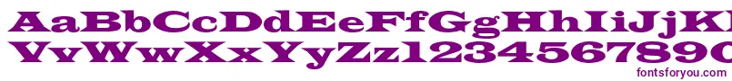 Azlatinwidec-fontti – violetit fontit valkoisella taustalla