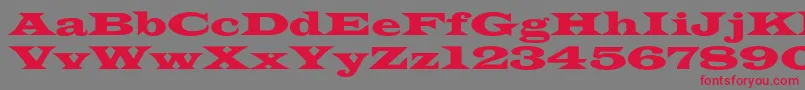 フォントAzlatinwidec – 赤い文字の灰色の背景