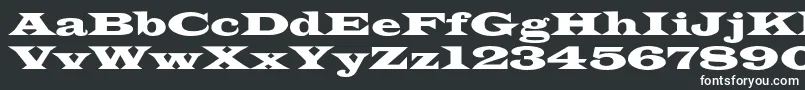Шрифт Azlatinwidec – белые шрифты на чёрном фоне