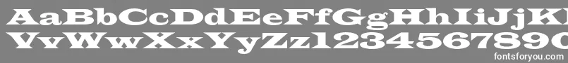 フォントAzlatinwidec – 灰色の背景に白い文字