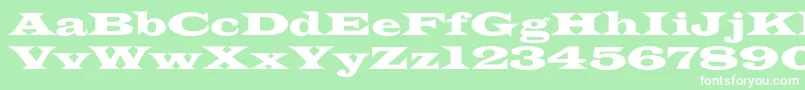 Azlatinwidec Font – White Fonts on Green Background