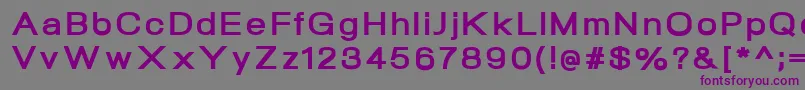 フォントNeogramExtraboldextd – 紫色のフォント、灰色の背景