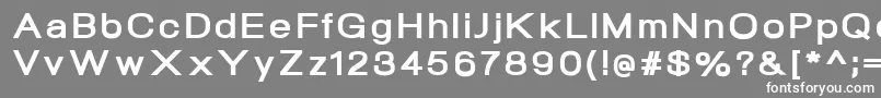 NeogramExtraboldextd Font – White Fonts on Gray Background