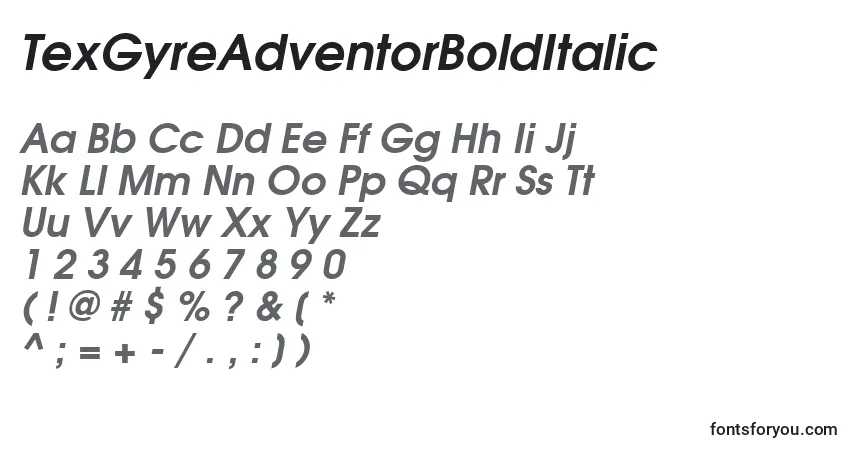 Czcionka TexGyreAdventorBoldItalic – alfabet, cyfry, specjalne znaki