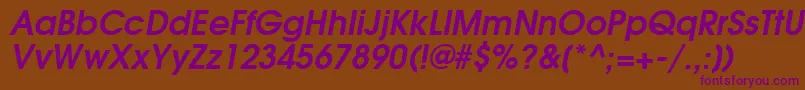 TexGyreAdventorBoldItalic Font – Purple Fonts on Brown Background